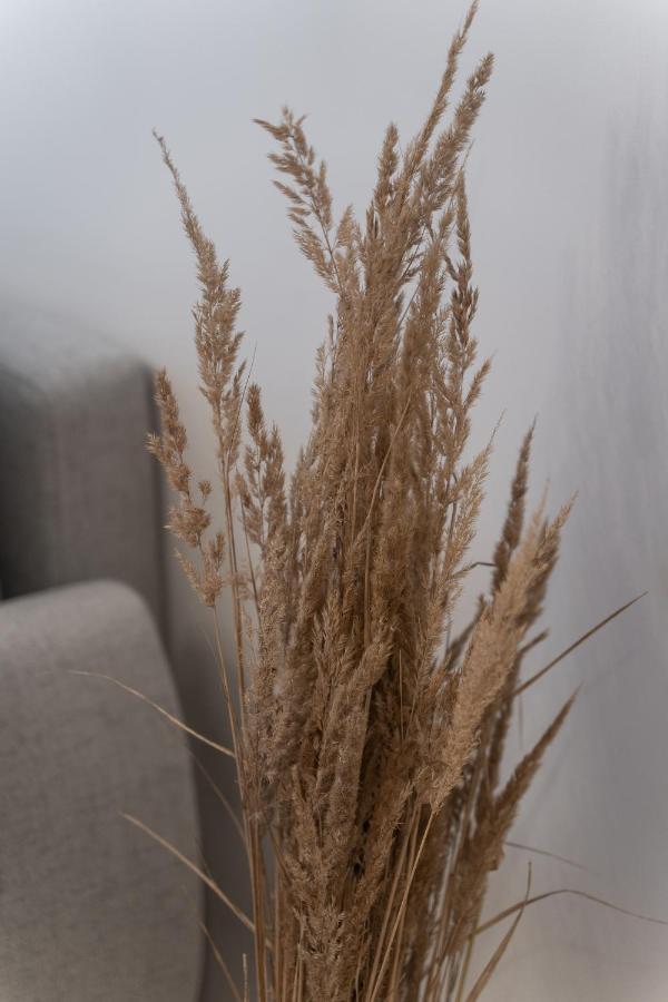 Apartamenty Munn 3 שצ'צ'ין מראה חיצוני תמונה